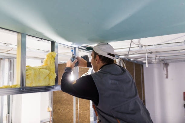 Best DIY Insulation Kits and Guidance in Forestville, OH