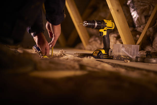 Best Geographic-Specific Insulation Services in Forestville, OH