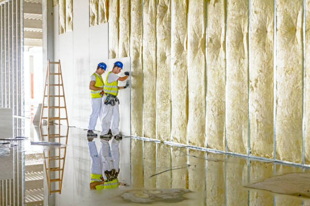 Best Cellulose Insulation in Forestville, OH